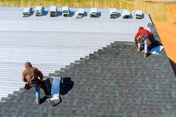Best Storm Damage Roof Repair  in Oglesby, IL