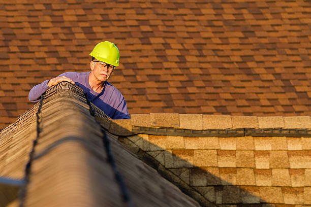 Best Roof Gutter Cleaning  in Oglesby, IL