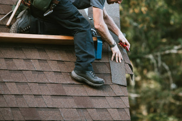 Best Roof Repair Services  in Oglesby, IL