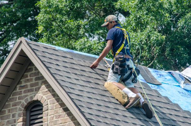 Best Residential Roofing Contractor  in Oglesby, IL